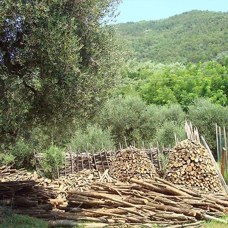 Il Castagneto Villa Teolo Luaran gambar