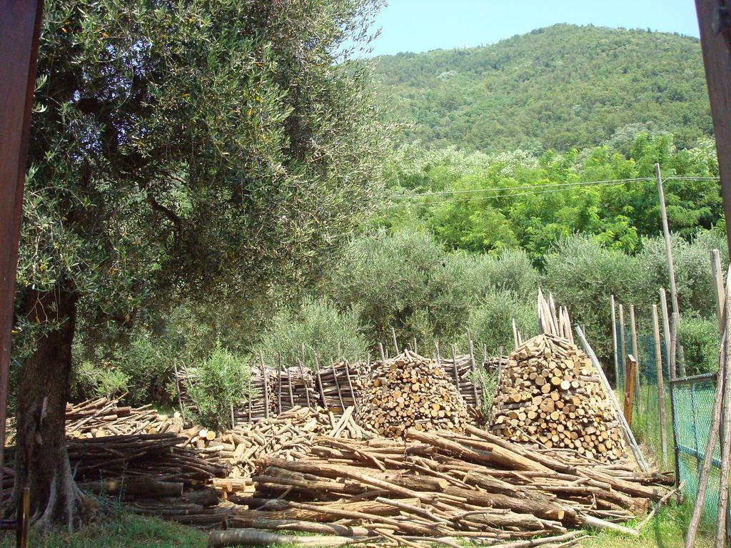 Il Castagneto Villa Teolo Luaran gambar