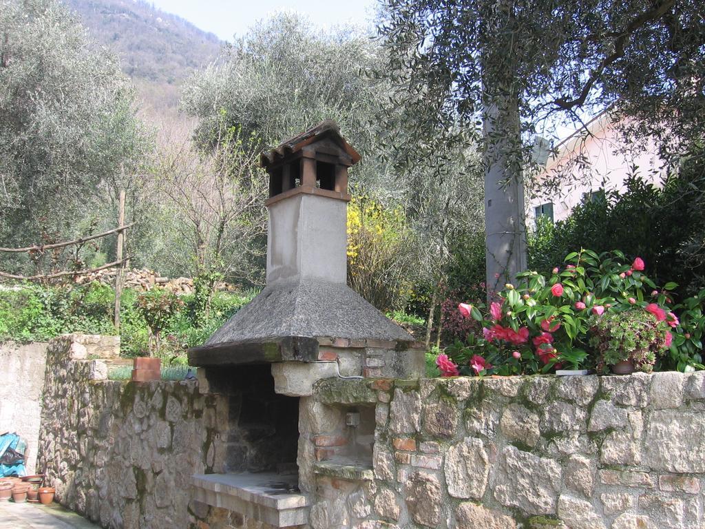 Il Castagneto Villa Teolo Luaran gambar