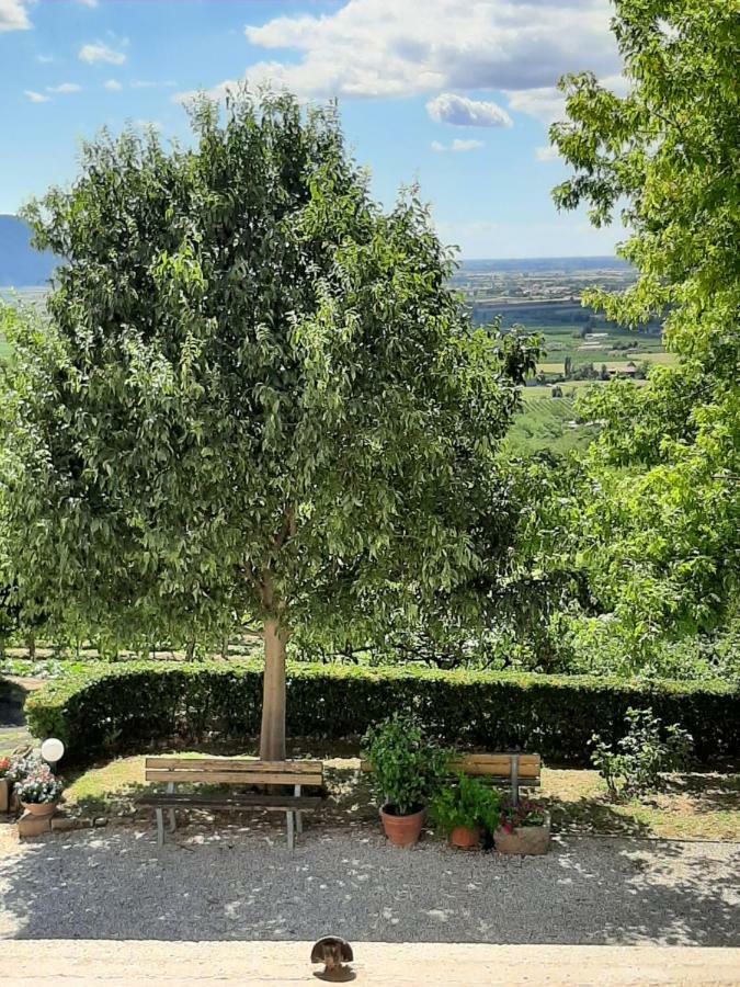 Il Castagneto Villa Teolo Luaran gambar